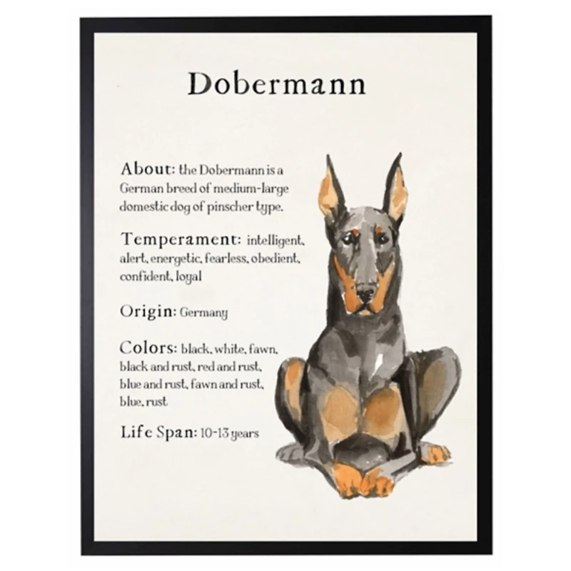 Dobermann Facts Framed Wall Plaque