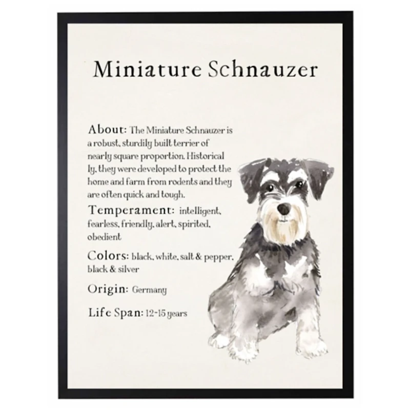 Miniature Schnauzer Facts Framed Wall Plaque