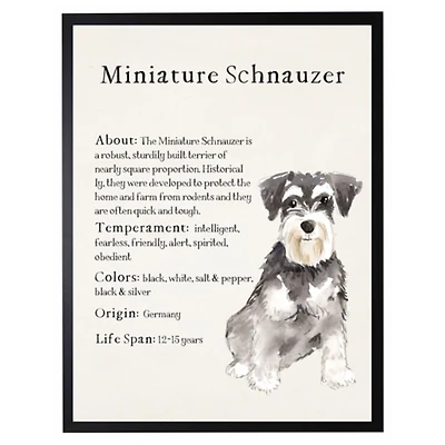Miniature Schnauzer Facts Framed Wall Plaque