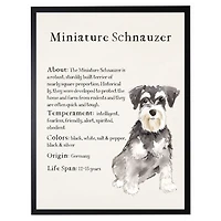 Miniature Schnauzer Facts Framed Wall Plaque