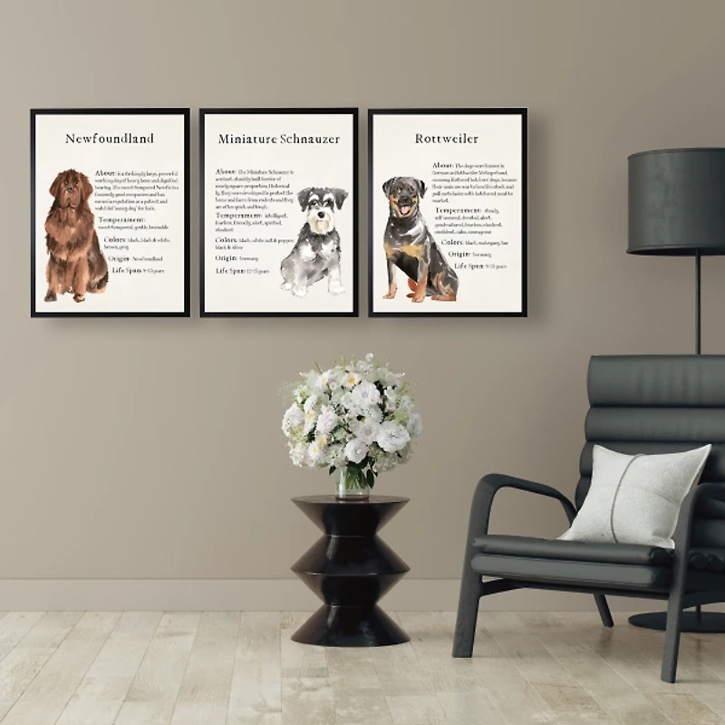 Newfoundland Facts Framed Wall Plaque