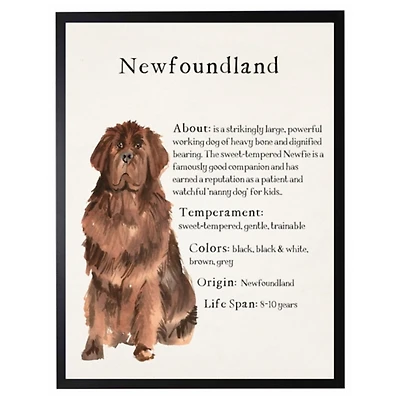 Newfoundland Facts Framed Wall Plaque