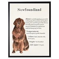 Newfoundland Facts Framed Wall Plaque