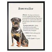 Rottweiler Facts Framed Wall Plaque