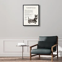 Scottish Terrier Facts Framed Wall Plaque
