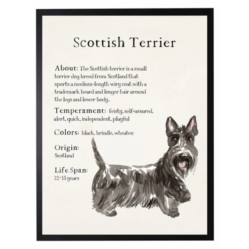 Scottish Terrier Facts Framed Wall Plaque