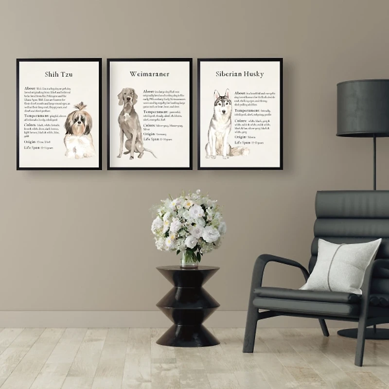 Siberian Husky Facts Framed Wall Plaque