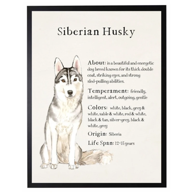 Siberian Husky Facts Framed Wall Plaque