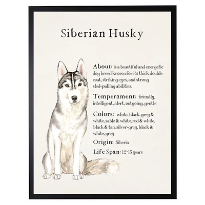 Siberian Husky Facts Framed Wall Plaque