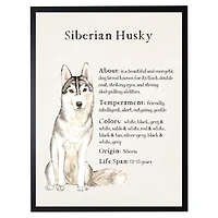 Siberian Husky Facts Framed Wall Plaque