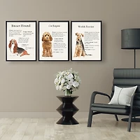 Welsh Terrier Facts Framed Wall Plaque