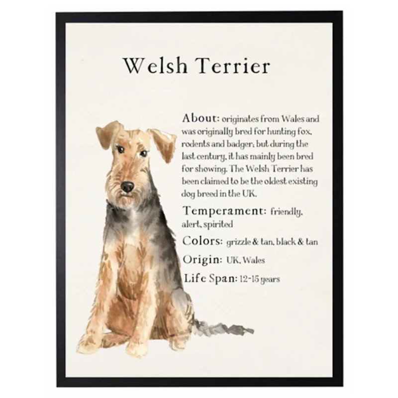 Welsh Terrier Facts Framed Wall Plaque