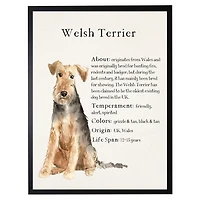 Welsh Terrier Facts Framed Wall Plaque
