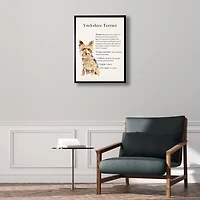 Yorkshire Terrier Facts Framed Wall Plaque