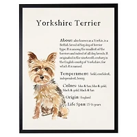 Yorkshire Terrier Facts Framed Wall Plaque