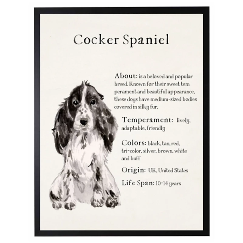 Cocker Spaniel Facts Framed Wall Plaque