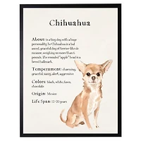 Chihuahua Facts Framed Wall Plaque