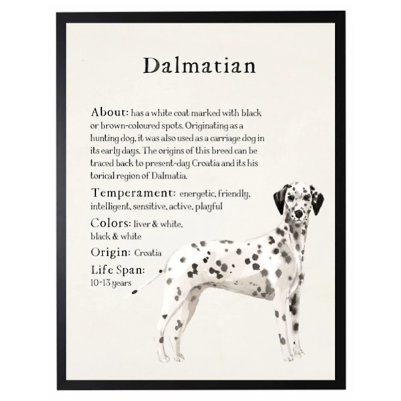 Dalmation Facts Framed Wall Plaque