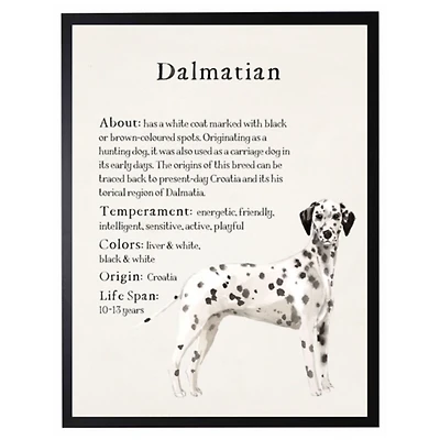 Dalmation Facts Framed Wall Plaque
