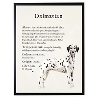 Dalmation Facts Framed Wall Plaque