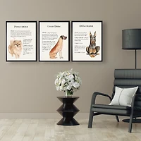 Great Dane Facts Framed Wall Plaque