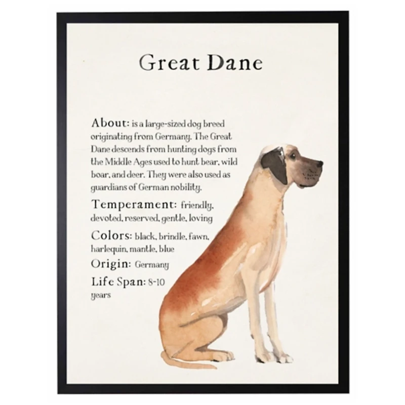 Great Dane Facts Framed Wall Plaque