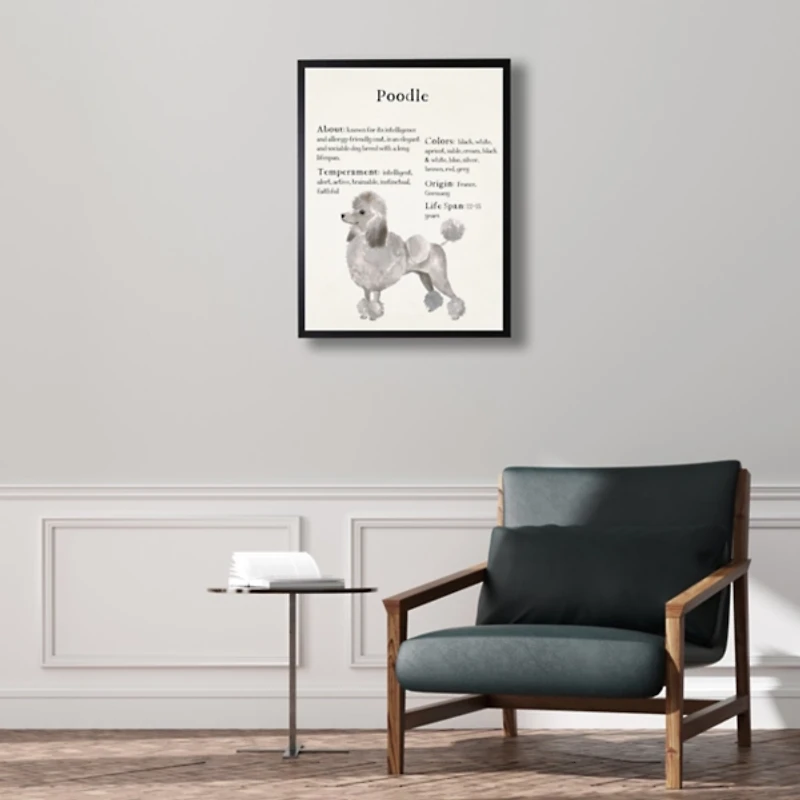 Poodle Facts Framed Wall Plaque