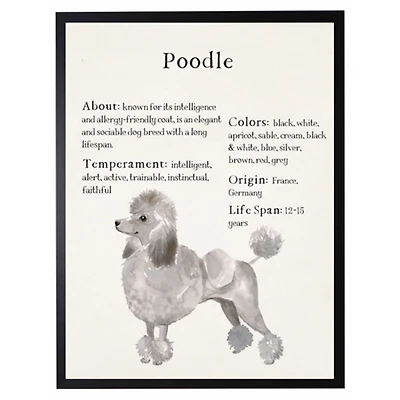 Poodle Facts Framed Wall Plaque