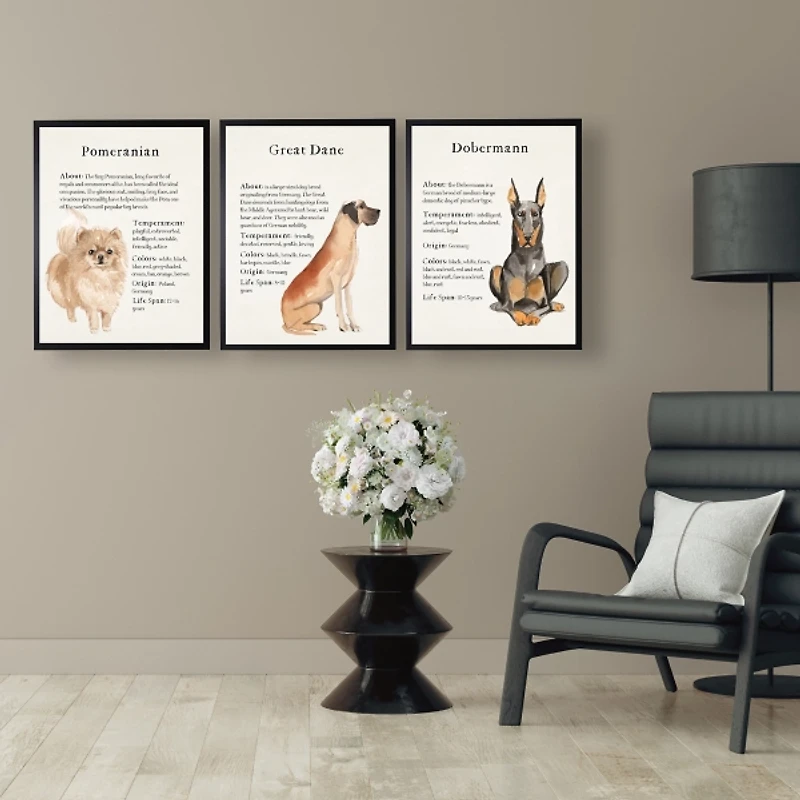 Pomeranian Facts Framed Wall Plaque