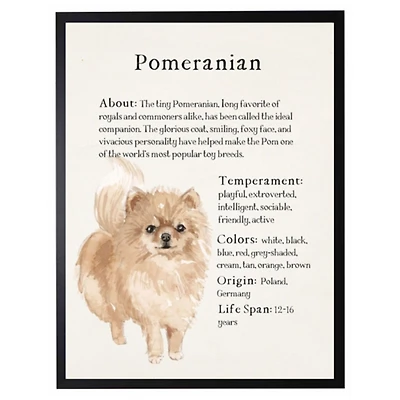 Pomeranian Facts Framed Wall Plaque