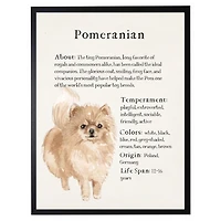 Pomeranian Facts Framed Wall Plaque