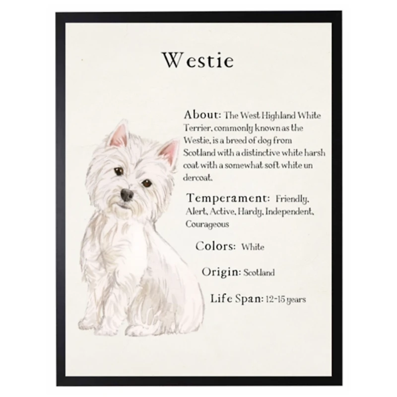 Westie Facts Framed Wall Plaque
