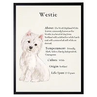 Westie Facts Framed Wall Plaque