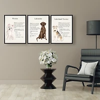 Chocolate Labrador Facts Framed Wall Plaque