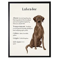 Chocolate Labrador Facts Framed Wall Plaque