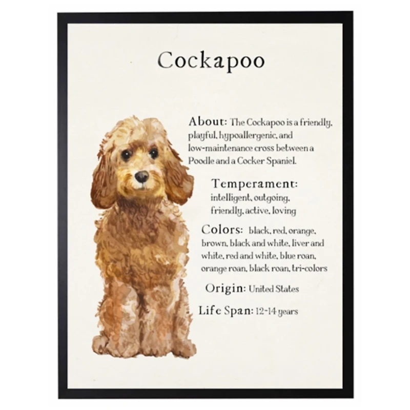 Golden Cockapoo Facts Framed Wall Plaque