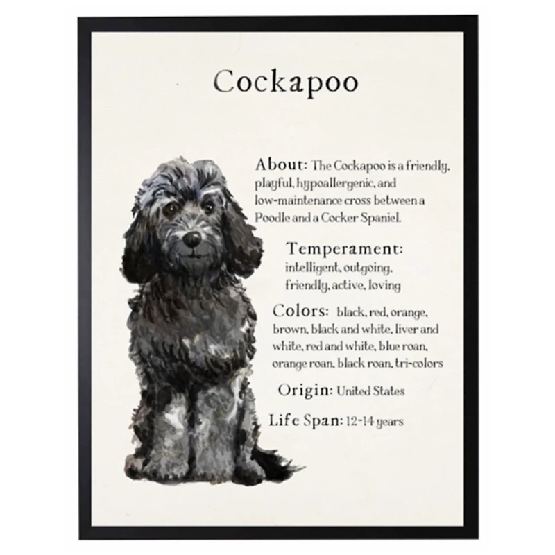 Black Cockapoo Facts Framed Wall Plaque
