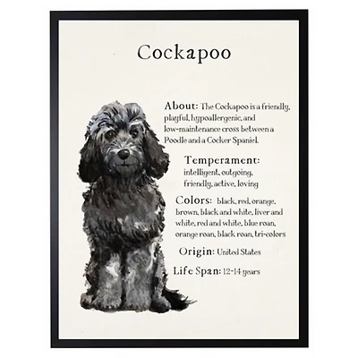 Black Cockapoo Facts Framed Wall Plaque