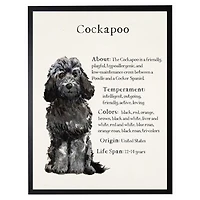 Black Cockapoo Facts Framed Wall Plaque