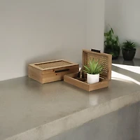 Rattan and Wood Rectangular Boxes, Set of 2