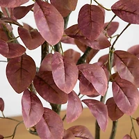 Autumn Dogwood Tree in Decorative Planter, 6 ft.