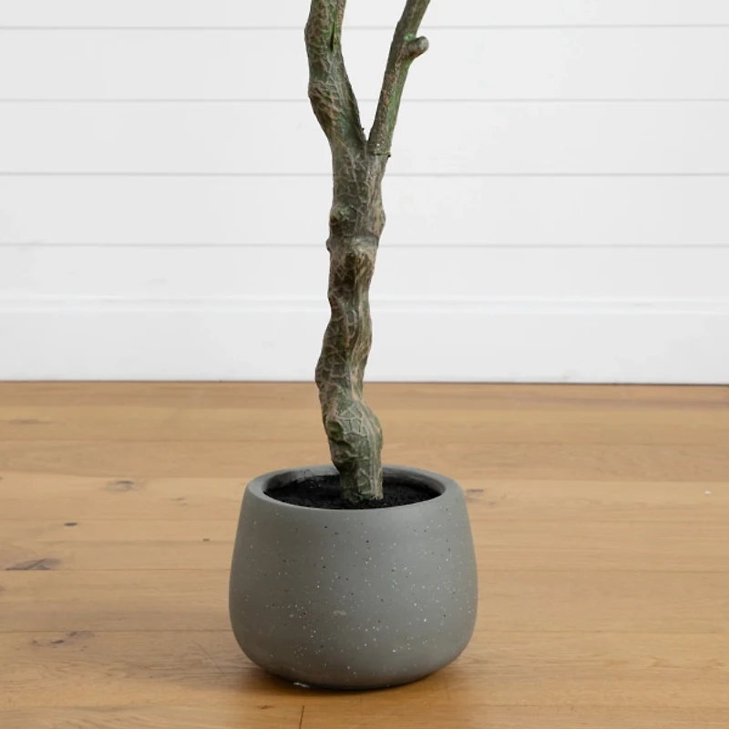 Autumn Dogwood Tree in Decorative Planter, 6 ft.