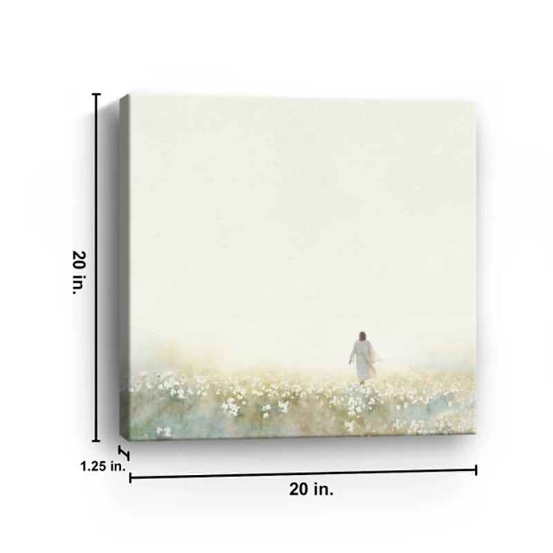 Into the Light Canvas Art Print, 20x20 in.