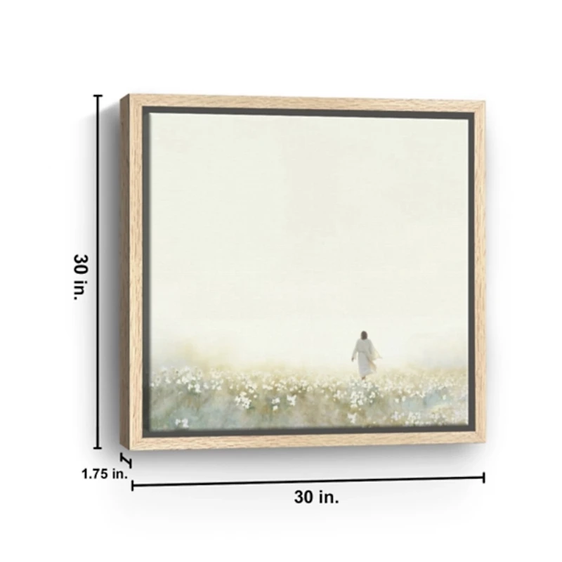 Into the Light Framed Canvas Art Print, 30x30