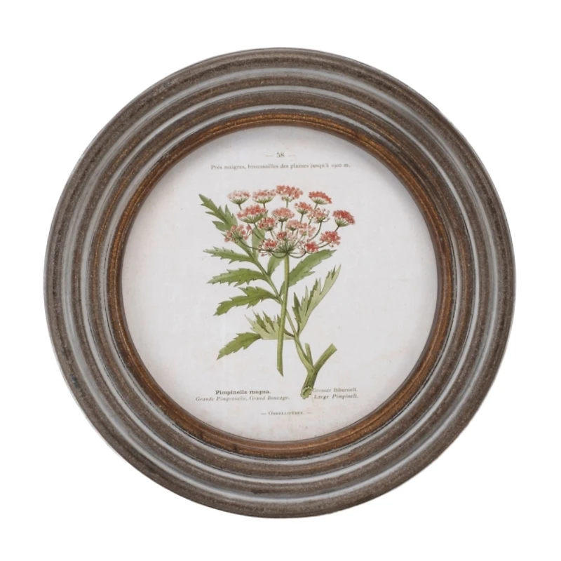 Round Vintage Floral Framed Art Prints, Set of 6