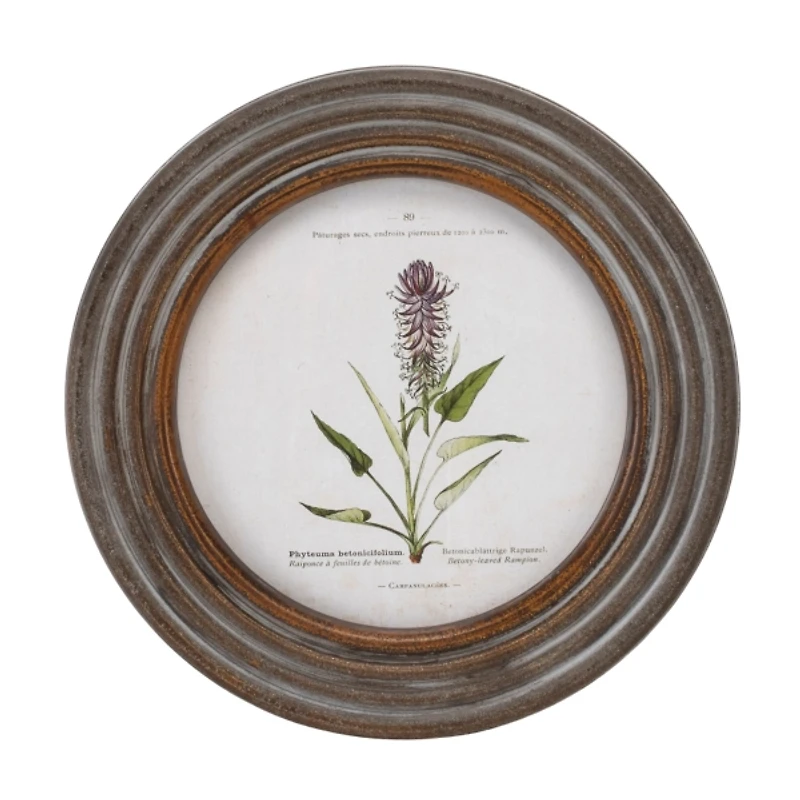 Round Vintage Floral Framed Art Prints, Set of 6