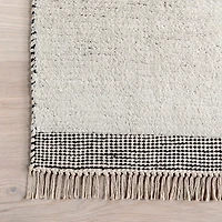 Hyperion Tasseled Cotton and Wool Area Rug