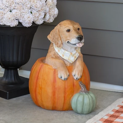 Golden Retriever in Pumpkin Outdoor Statue