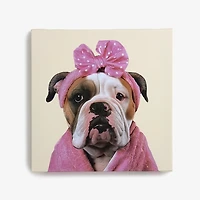Bulldog in Bath Robe Canvas Art Print