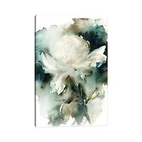 White Peony Abstract Canvas Art Print